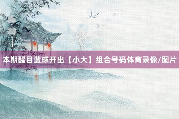 本期醒目蓝球开出【小大】组合号码体育录像/图片