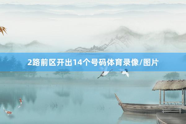 2路前区开出14个号码体育录像/图片