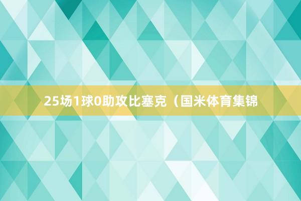 25场1球0助攻比塞克（国米体育集锦