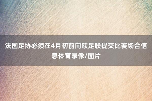 法国足协必须在4月初前向欧足联提交比赛场合信息体育录像/图片