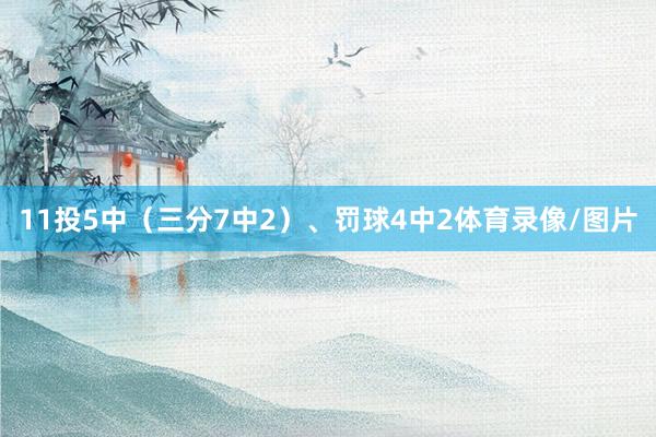 11投5中（三分7中2）、罚球4中2体育录像/图片