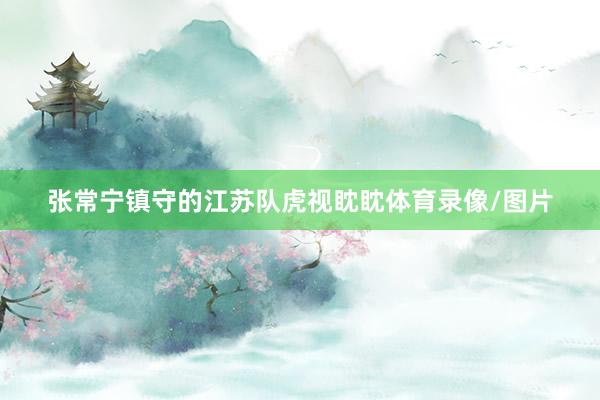 张常宁镇守的江苏队虎视眈眈体育录像/图片