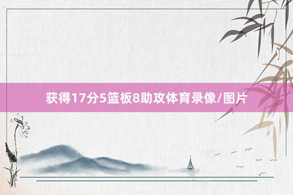 获得17分5篮板8助攻体育录像/图片