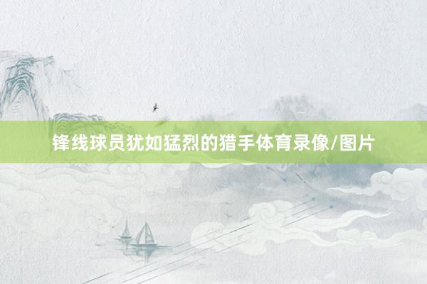 锋线球员犹如猛烈的猎手体育录像/图片