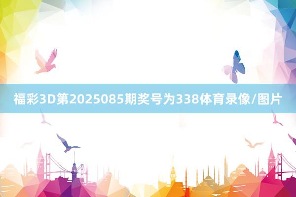 福彩3D第2025085期奖号为338体育录像/图片