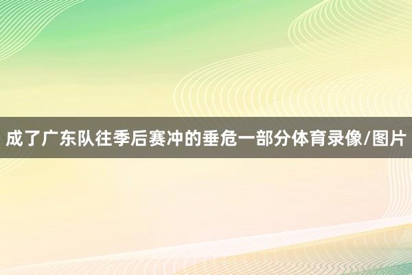 成了广东队往季后赛冲的垂危一部分体育录像/图片