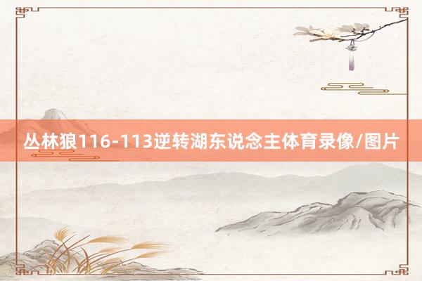 丛林狼116-113逆转湖东说念主体育录像/图片