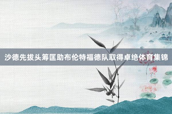 沙德先拔头筹匡助布伦特福德队取得卓绝体育集锦