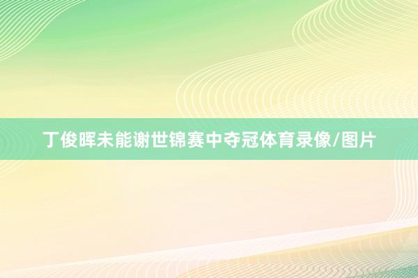 丁俊晖未能谢世锦赛中夺冠体育录像/图片