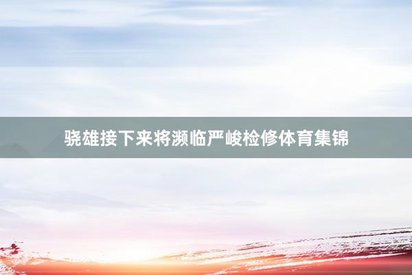 骁雄接下来将濒临严峻检修体育集锦