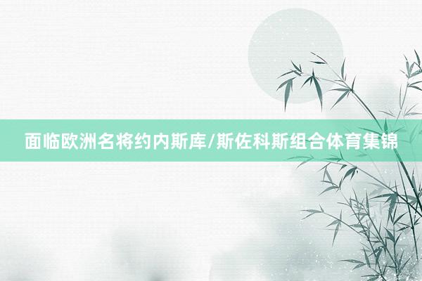 面临欧洲名将约内斯库/斯佐科斯组合体育集锦