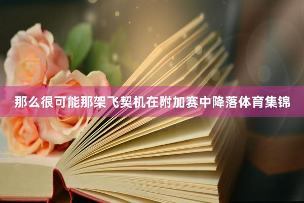 那么很可能那架飞契机在附加赛中降落体育集锦