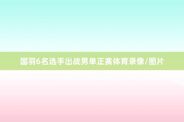 国羽6名选手出战男单正赛体育录像/图片