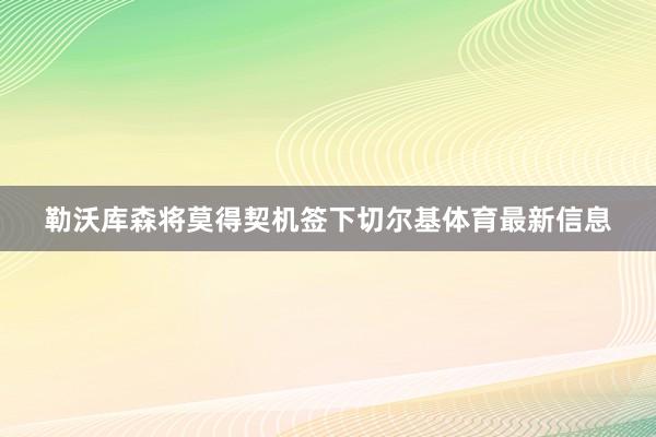 勒沃库森将莫得契机签下切尔基体育最新信息