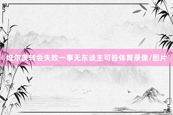 维尔茨转会失败一事无东谈主可咎体育录像/图片