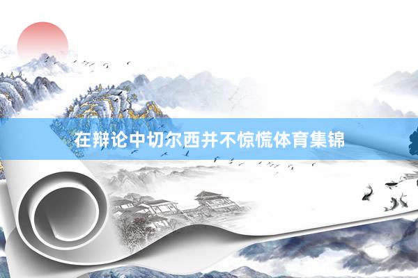 在辩论中切尔西并不惊慌体育集锦