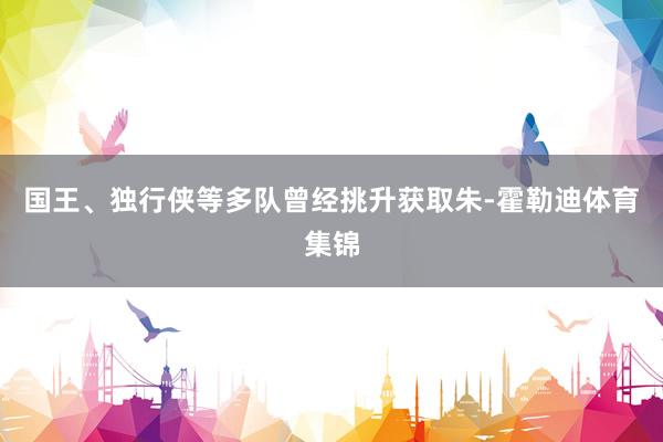 国王、独行侠等多队曾经挑升获取朱-霍勒迪体育集锦