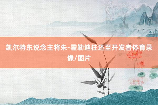 凯尔特东说念主将朱-霍勒迪往还至开发者体育录像/图片