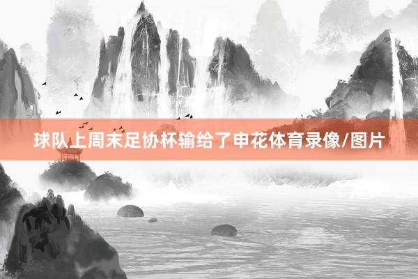 球队上周末足协杯输给了申花体育录像/图片