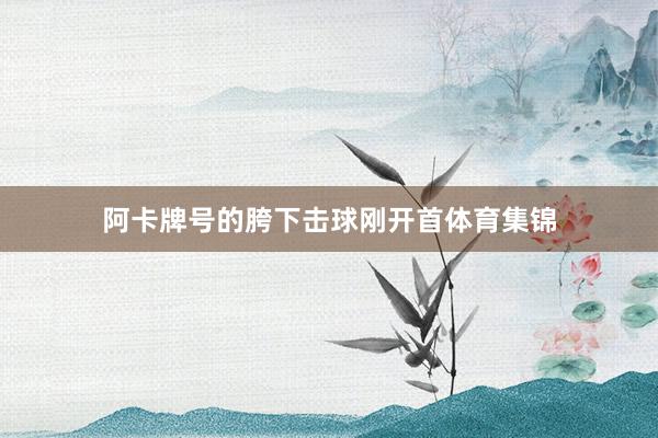 阿卡牌号的胯下击球刚开首体育集锦