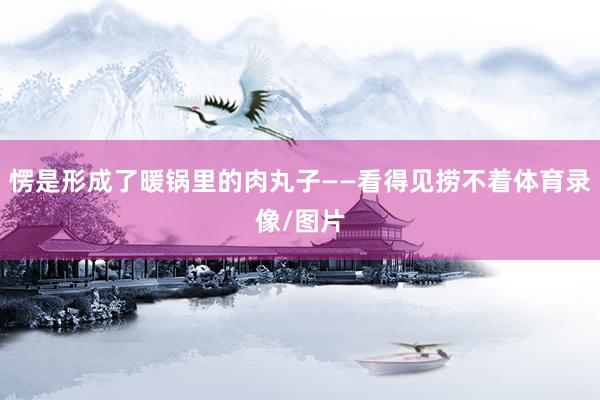 愣是形成了暖锅里的肉丸子——看得见捞不着体育录像/图片