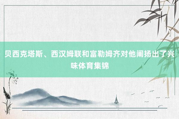 贝西克塔斯、西汉姆联和富勒姆齐对他阐扬出了兴味体育集锦