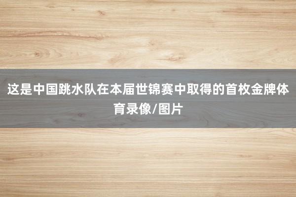 这是中国跳水队在本届世锦赛中取得的首枚金牌体育录像/图片