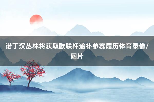 诺丁汉丛林将获取欧联杯递补参赛履历体育录像/图片