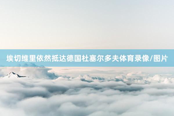 埃切维里依然抵达德国杜塞尔多夫体育录像/图片