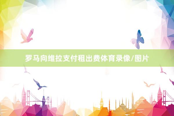 罗马向维拉支付租出费体育录像/图片