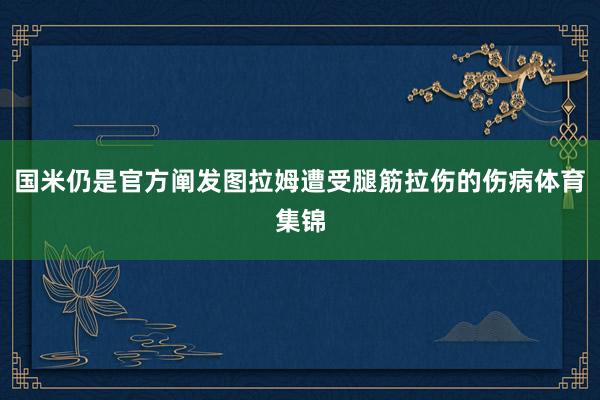 国米仍是官方阐发图拉姆遭受腿筋拉伤的伤病体育集锦