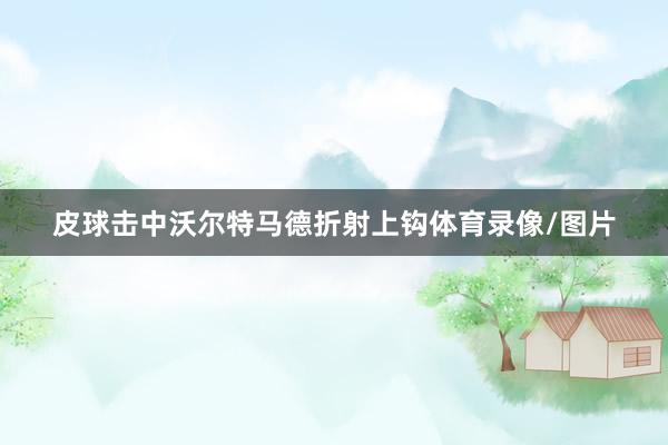 皮球击中沃尔特马德折射上钩体育录像/图片