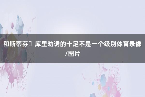 和斯蒂芬・库里劝诱的十足不是一个级别体育录像/图片