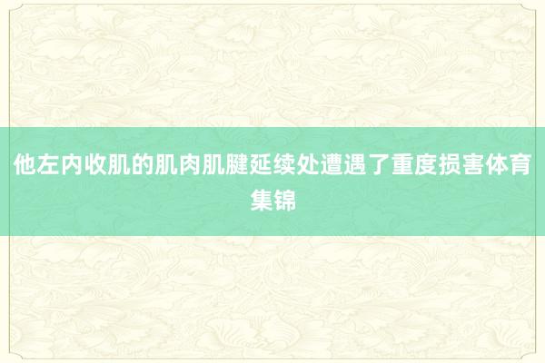 他左内收肌的肌肉肌腱延续处遭遇了重度损害体育集锦