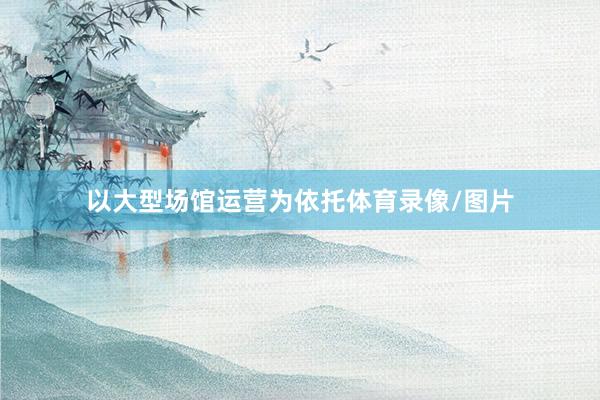 以大型场馆运营为依托体育录像/图片