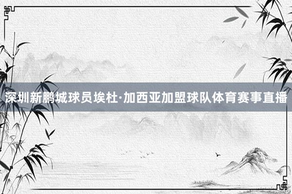 深圳新鹏城球员埃杜·加西亚加盟球队体育赛事直播