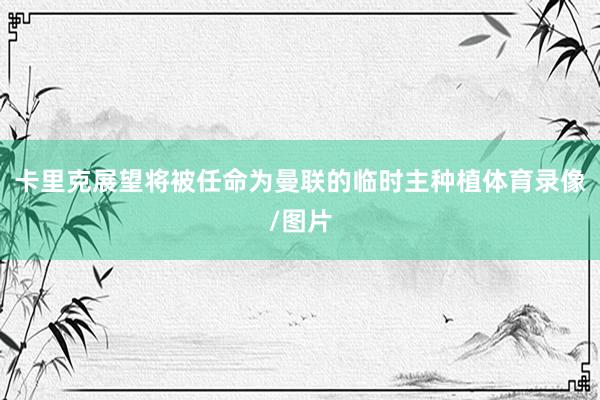 卡里克展望将被任命为曼联的临时主种植体育录像/图片
