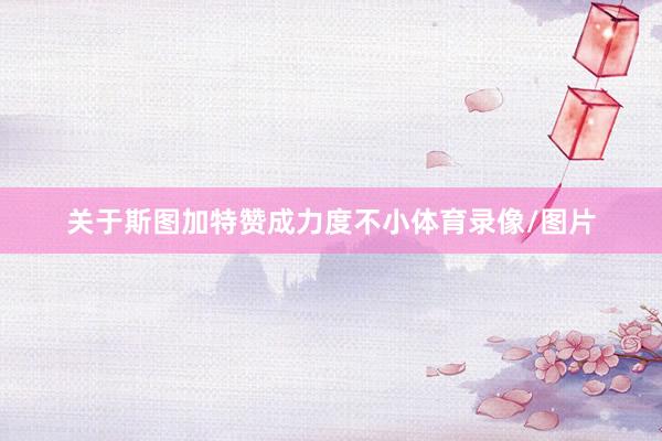 关于斯图加特赞成力度不小体育录像/图片