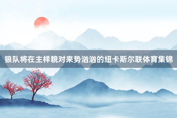 狼队将在主样貌对来势汹汹的纽卡斯尔联体育集锦