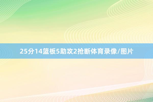 25分14篮板5助攻2抢断体育录像/图片