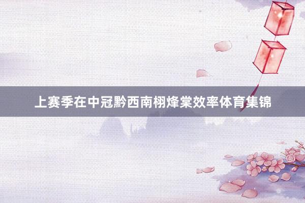 上赛季在中冠黔西南栩烽棠效率体育集锦