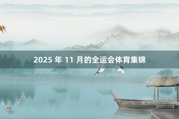 2025 年 11 月的全运会体育集锦