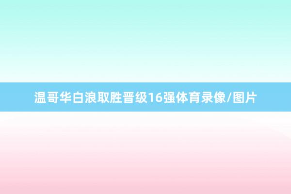 温哥华白浪取胜晋级16强体育录像/图片