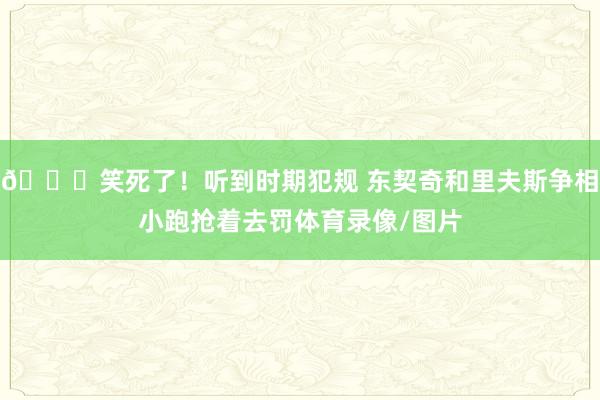 😂笑死了！听到时期犯规 东契奇和里夫斯争相小跑抢着去罚体育录像/图片