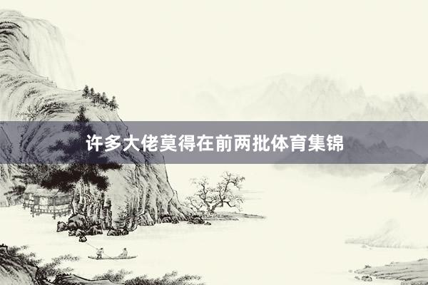 许多大佬莫得在前两批体育集锦