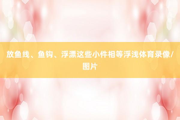 放鱼线、鱼钩、浮漂这些小件相等浮浅体育录像/图片