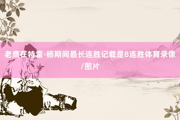 老鹰在特雷·杨期间最长连胜记载是8连胜体育录像/图片