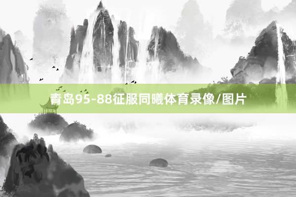 青岛95-88征服同曦体育录像/图片