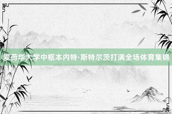 爱荷华大学中枢本内特·斯特尔茨打满全场体育集锦