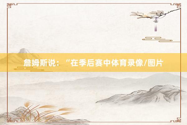 詹姆斯说：“在季后赛中体育录像/图片